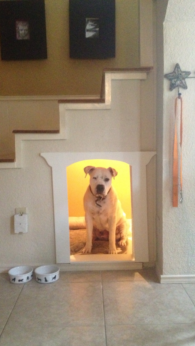 The decor has dog! - Trendy Home