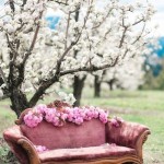 Canapés de jardin décoration