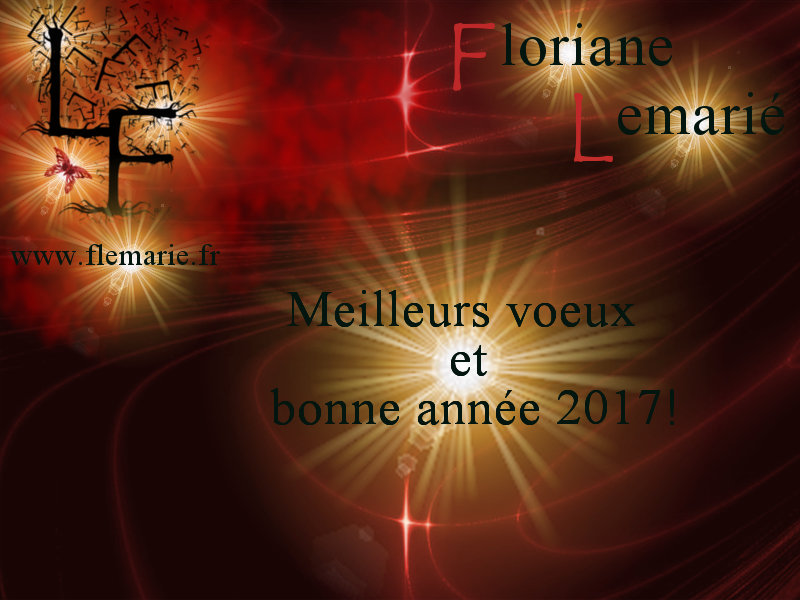 Bonne année 2017 Floriane Lemarié