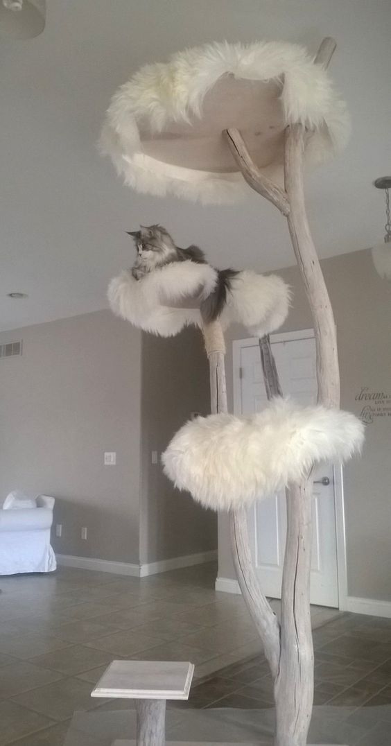 Décoration arbre à chat