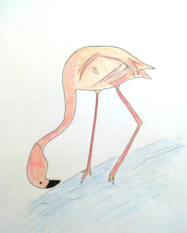 Création table basse Flamingo par Floriane Lemarié