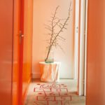 Décoration orange